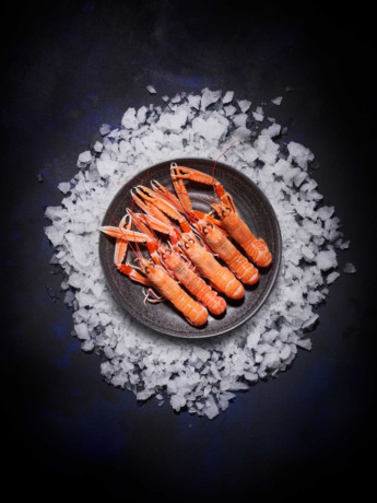Langoustines moyennes vivantes