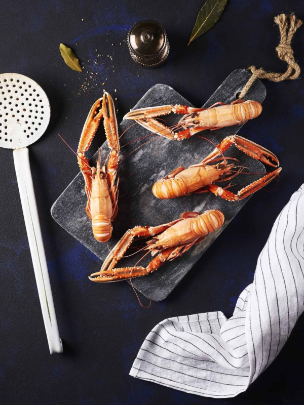 Langoustines grosses cuites par nos soins