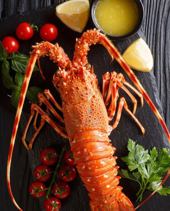 Langouste royale cuite par nos soins