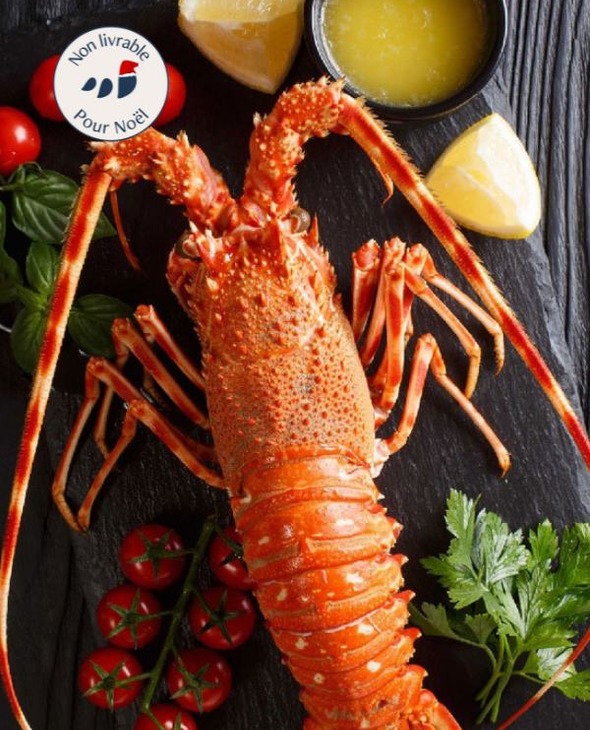 Langouste royale cuite par nos soins