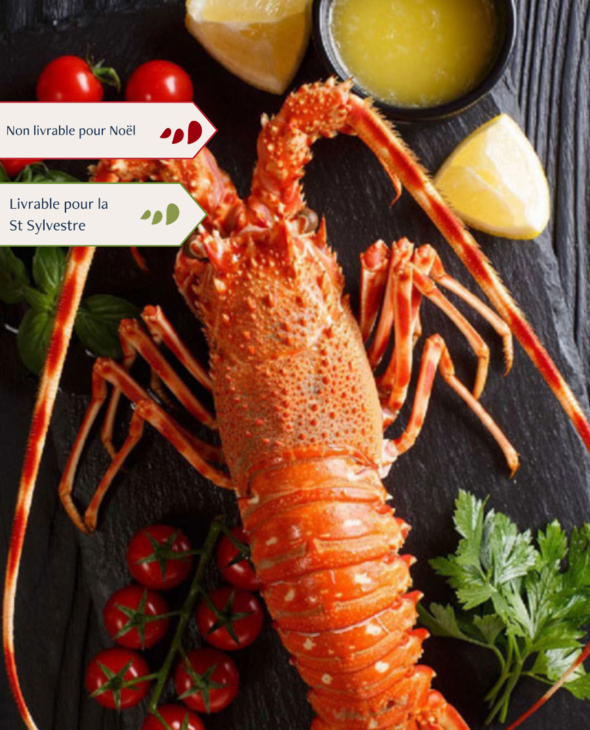 Langouste royale cuite par nos soins