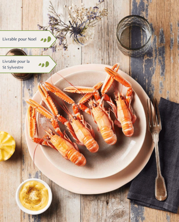 Langoustines grosses cuites par nos soins