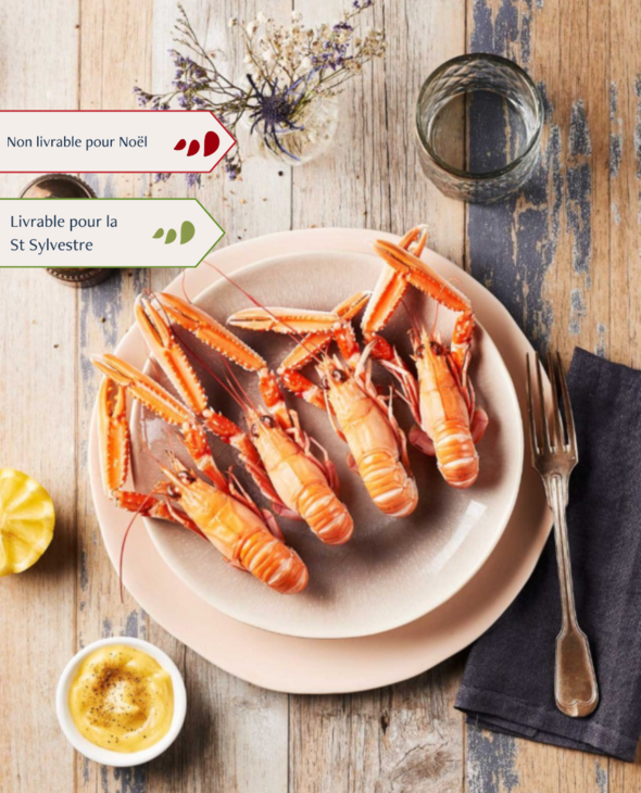 Langoustines grosses cuites par nos soins