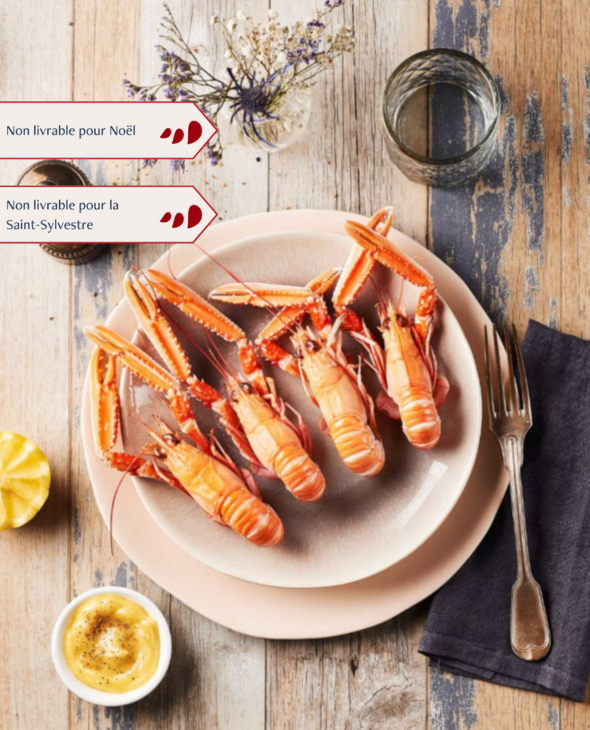 Langoustines grosses cuites par nos soins