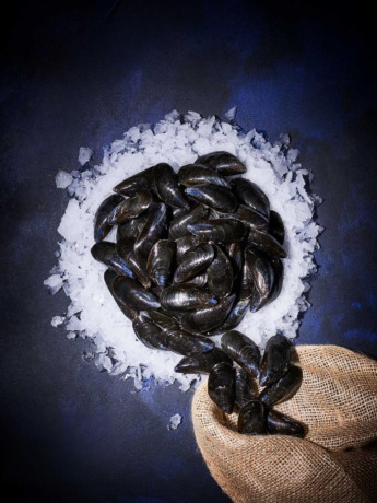 Moules de Bouchot du Vivier sur Mer, prêtes à Cuire