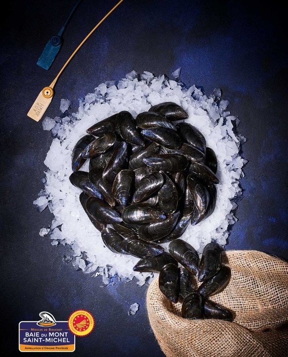 Moules de bouchot AOP de la baie du Mont St Michel, prêtes à Cuire