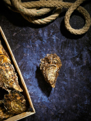 Bourriche d'Huitres de pleine mer de Quiberon n°2