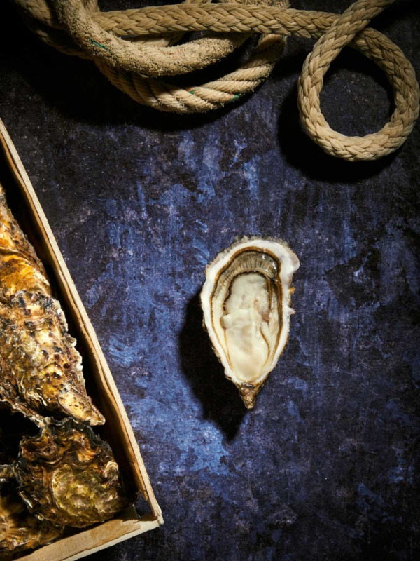 Bourriche d'Huitres de pleine mer de Quiberon n°2