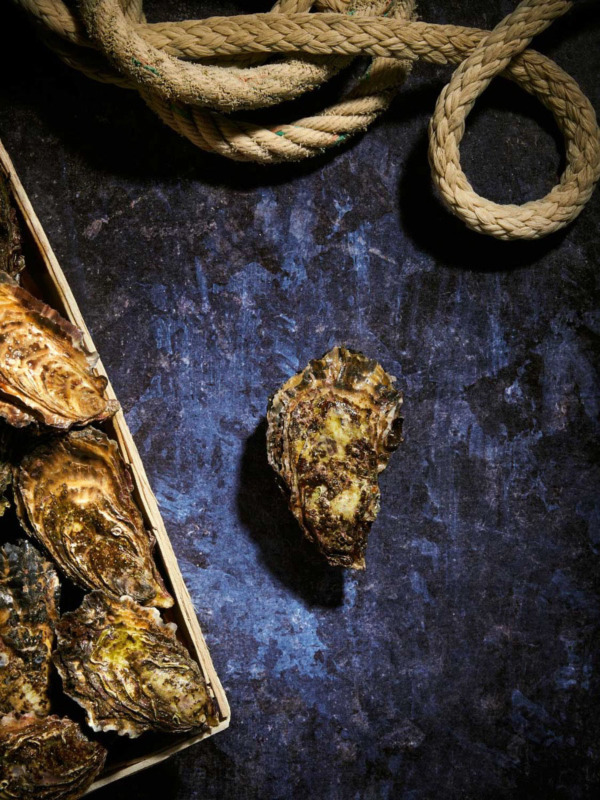 Bourriche d'Huitres de pleine mer de Quiberon n°3