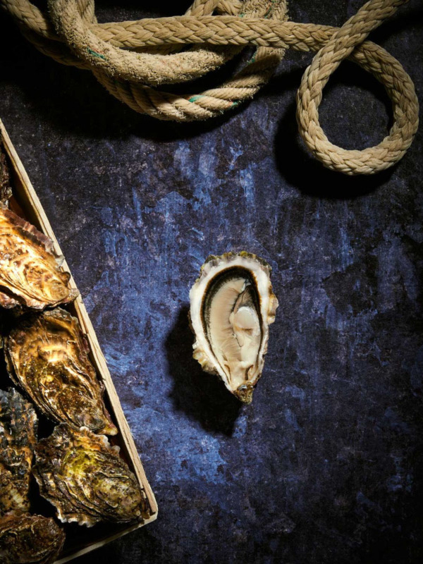 Bourriche d'Huitres de pleine mer de Quiberon n°3