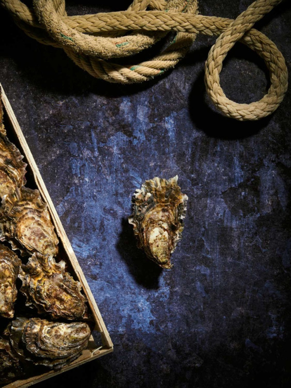 Bourriche d'Huitres de pleine mer de Quiberon n°4