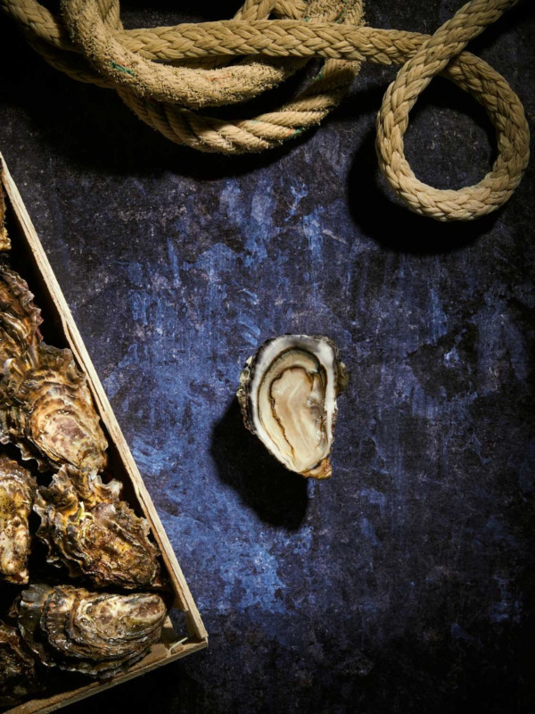 Bourriche d'Huitres de pleine mer de Quiberon n°4