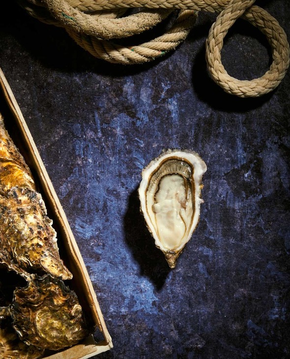 Bourriche d'Huitres de pleine mer de Quiberon n°2