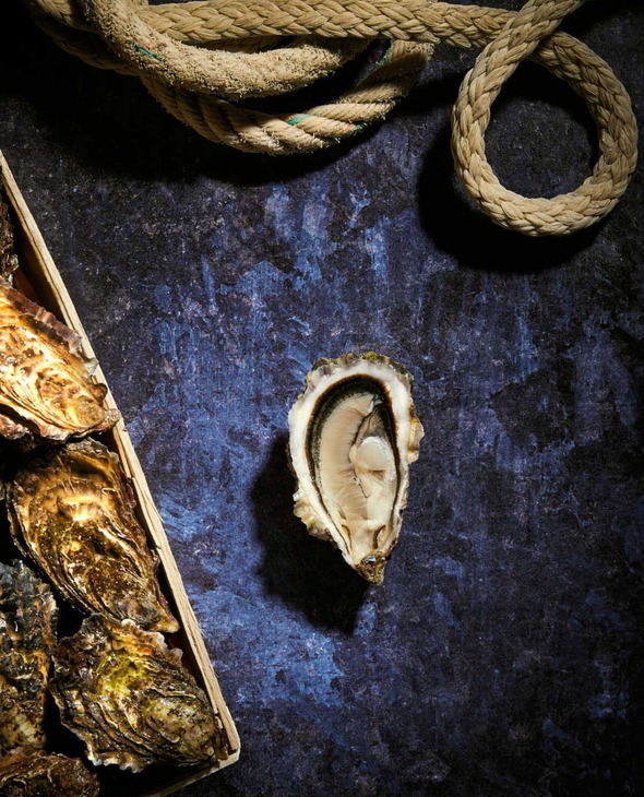Bourriche d'Huitres de pleine mer de Quiberon n°3