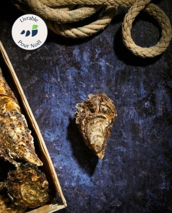 Bourriche d'Huitres de pleine mer de Quiberon n°2