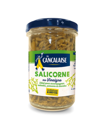 Salicorne
