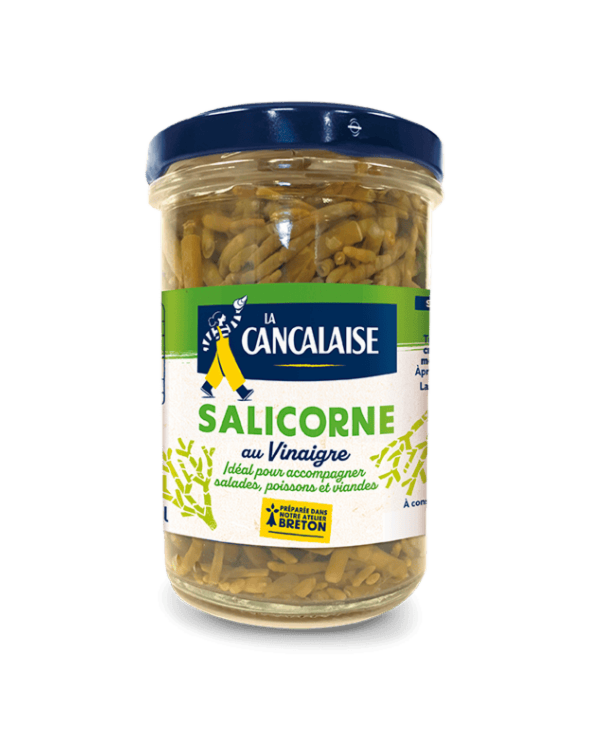 Salicorne