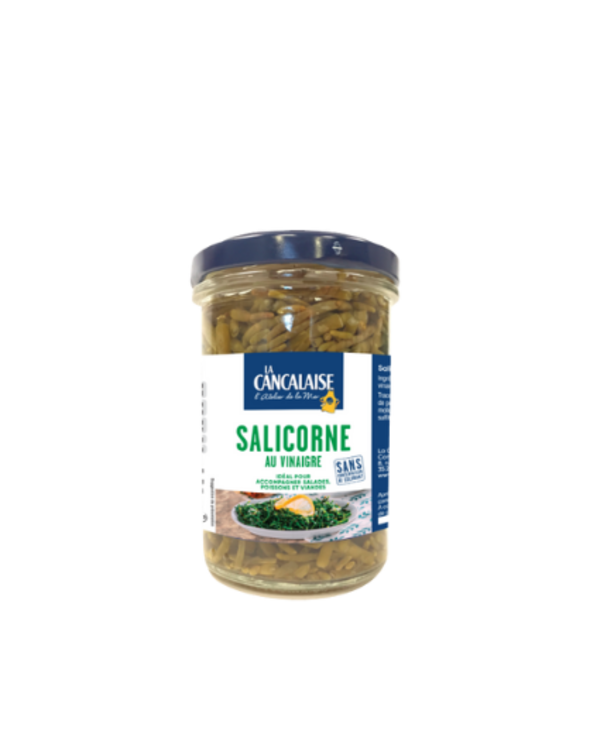 Salicorne 