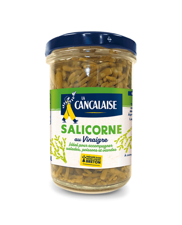 Salicorne 