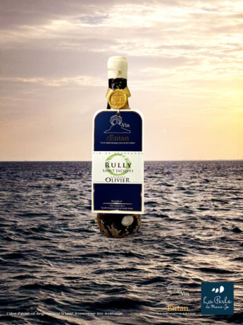Vin immergé, Rully Saint Jacques, Domaine Olivier