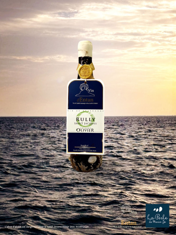 Vin immergé, Rully Saint Jacques, Domaine Olivier