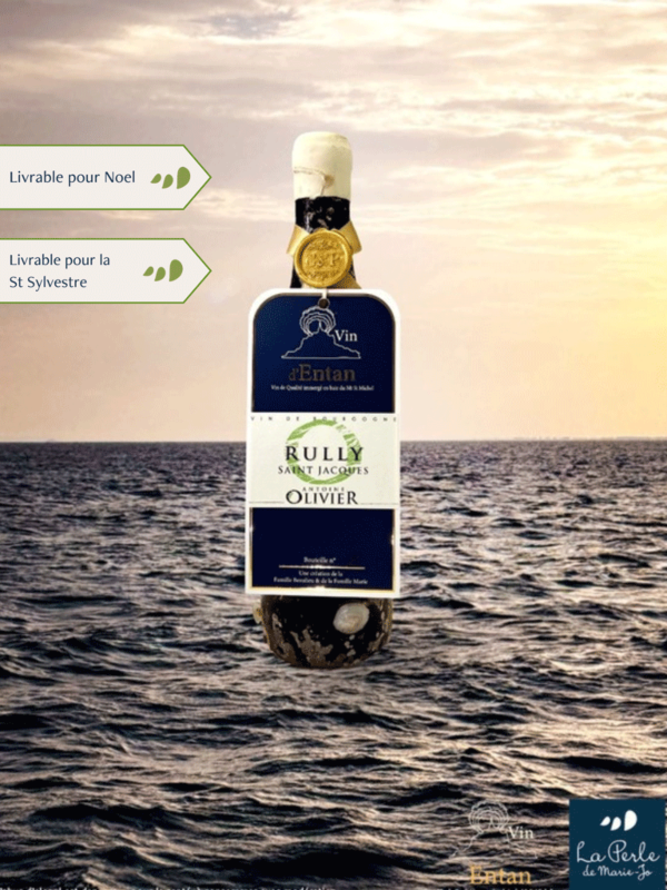 Vin immergé, Rully Saint Jacques, Domaine Olivier