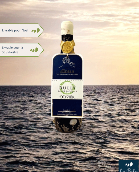 Vin immergé, Rully Saint Jacques, Domaine Olivier